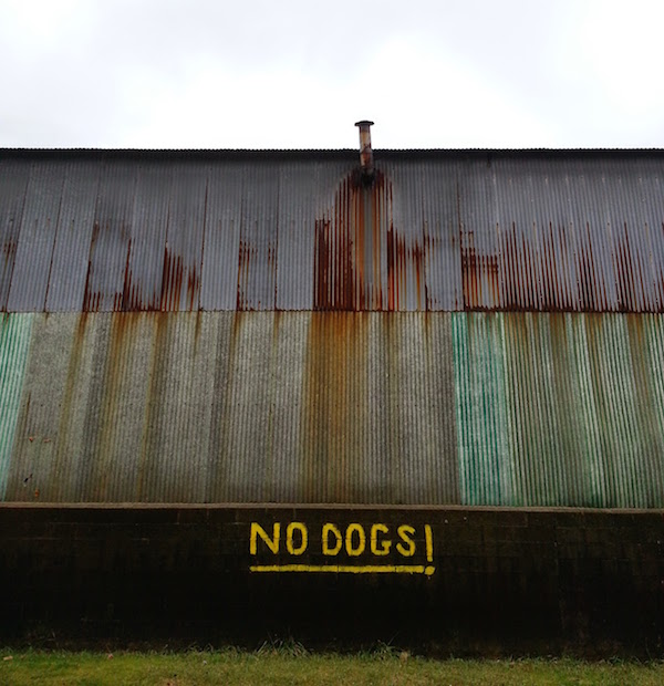 "No Dogs!" painted on side of small factory in Millvale