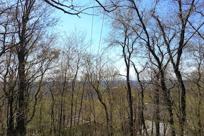 View from Pittsburgh's highpoint showing mainly trees
