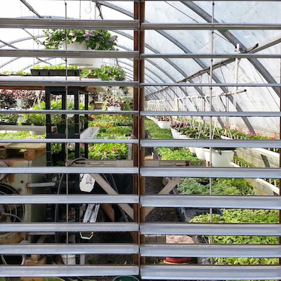 view of greenhouse through ventilation slats