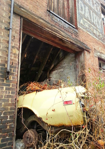 Tree growing through a car in a former dairy in an alley in Pittsburgh, Pa.