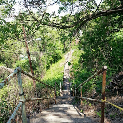 Frazier Street city steps, Pittsburgh, Pa.