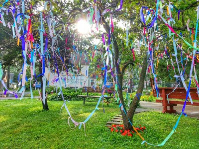 Trees with prayer ribbons, Lily Dale, NY