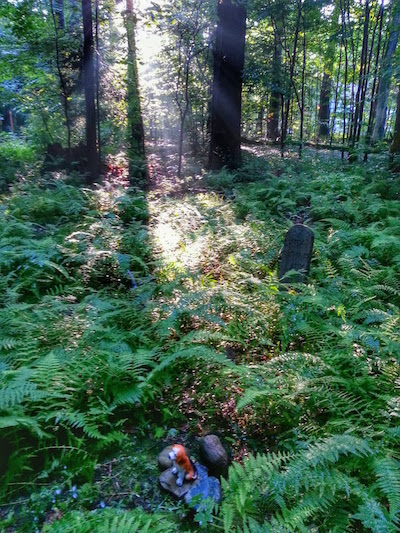 Sundown at Lily Dale Assembly pet cemetery