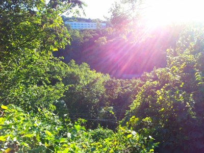 View of Skunk Hollow and North Oakland from Wertz Way, Pittsburgh, PA