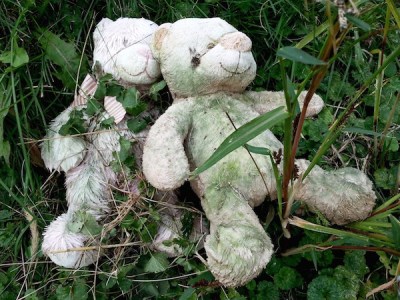 2 teddy bears in thick grass