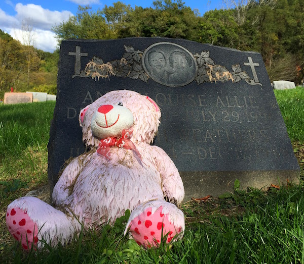 pink teddy bear leaning against gravestone
