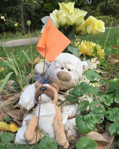 stuffed bear and stuffed dog with flowers