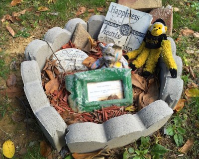 monkey in Pittsburgh Steelers colors with sad bear