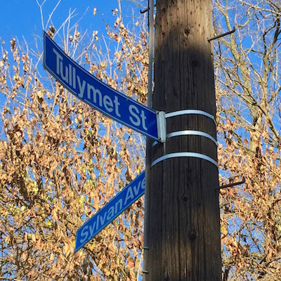 Street sign for Tullymet St. and Sylvan Ave., Pittsburgh, PA.