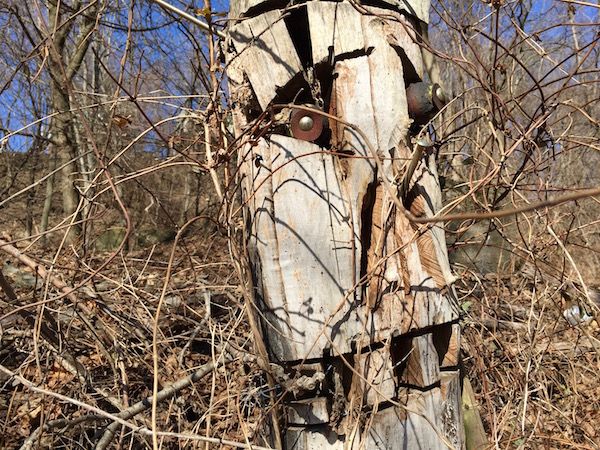 Sculpture carved from tree trunk, Pittsburgh, PA