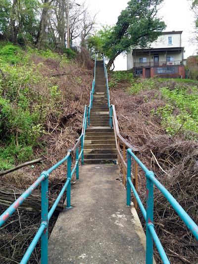 Long middle section of the 54th Street city steps, Pittsburgh, PA