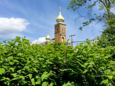 St. Michael's Orthodox church, Rankin, PA from over a bank of weeds