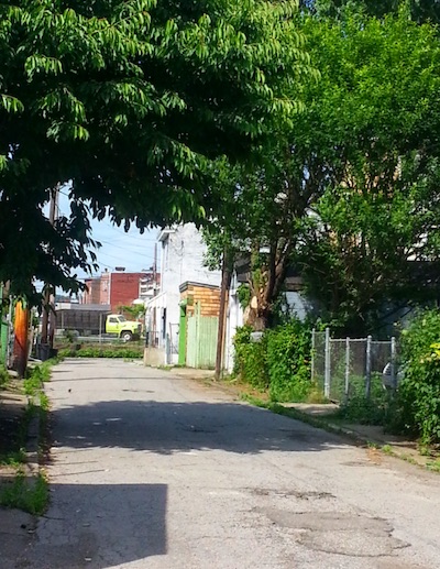 Blackberry Way, Pittsburgh, PA