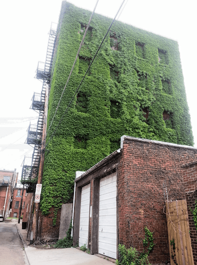ivy-covered 5-story brick building, Pittsburgh, PA