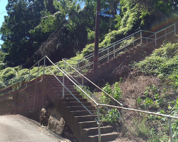 intersection of Anthony Street and Ivondale Street city steps, Pittsburgh, PA