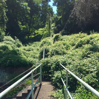 city steps overgrown with weeds, Pittsburgh, PA
