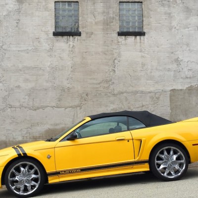 black and gold Ford Mustang in front of gray wall, Arnold, PA