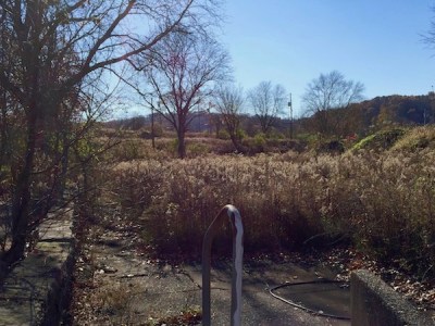 handrail and concrete sidewalk to urban prairie, former Broadhead Manor, Fairywood, Pittsburgh, PA