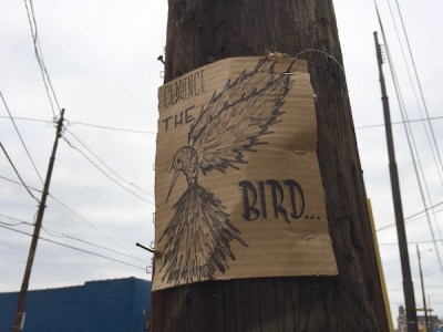 cardboard sign with pen drawing of a bird and the text "Clarence the Bird...", Pittsburgh, PA