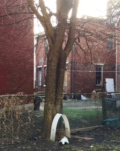 statuette of Mary lying face down in backyard dirt, Pittsburgh, PA