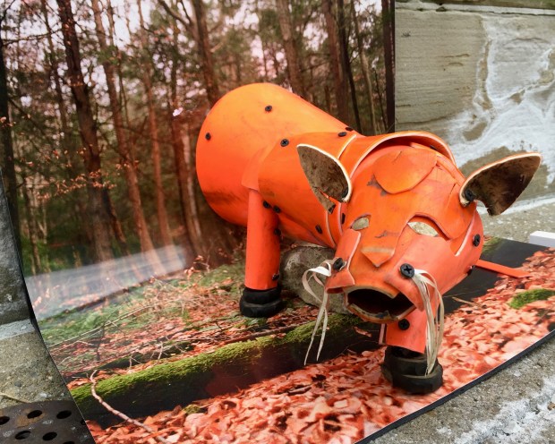 "Wild Animal" art piece made from construction cones and panoramic photographs