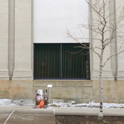"Wild Animal" art piece made from construction cones and panoramic photographs