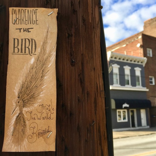 "Clarence the Bird" hand-drawn artwork stapled to telephone pole, Pittsburgh, PA