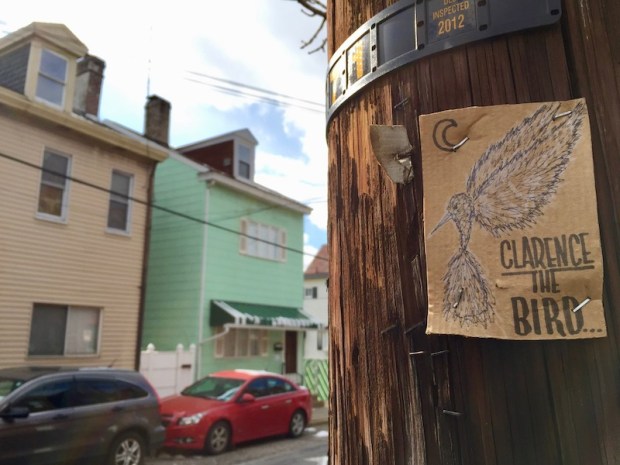 "Clarence the Bird" hand-drawn artwork stapled to telephone pole, Pittsburgh, PA