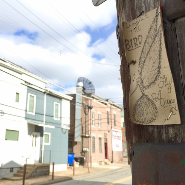 "Clarence the Bird" hand-drawn artwork stapled to telephone pole, Pittsburgh, PA
