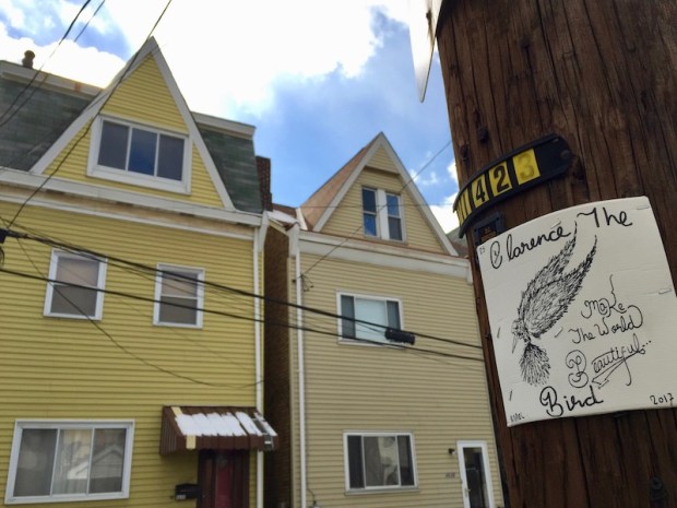 "Clarence the Bird" hand-drawn artwork stapled to telephone pole, Pittsburgh, PA