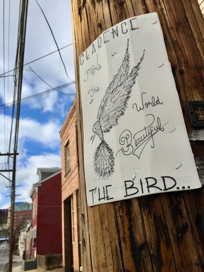 "Clarence the Bird" hand-drawn artwork stapled to telephone pole, Pittsburgh, PA