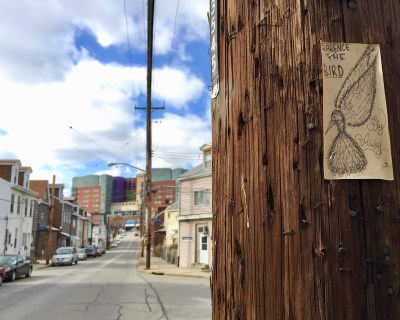 "Clarence the Bird" hand-drawn artwork stapled to telephone pole, Pittsburgh, PA
