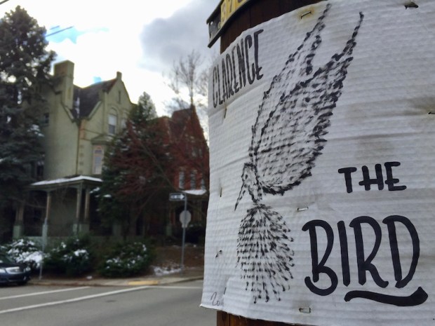 "Clarence the Bird" hand-drawn artwork stapled to telephone pole, Pittsburgh, PA