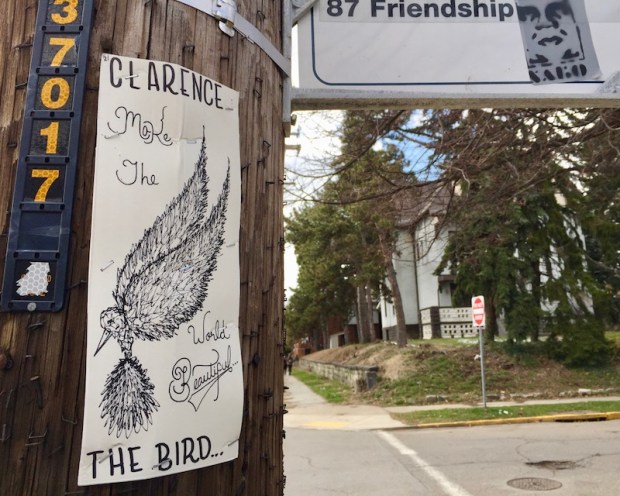 "Clarence the Bird" hand-drawn artwork stapled to telephone pole, Pittsburgh, PA