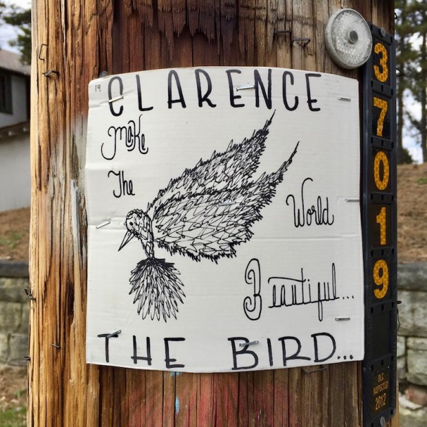 "Clarence the Bird" hand-drawn artwork stapled to telephone pole, Pittsburgh, PA