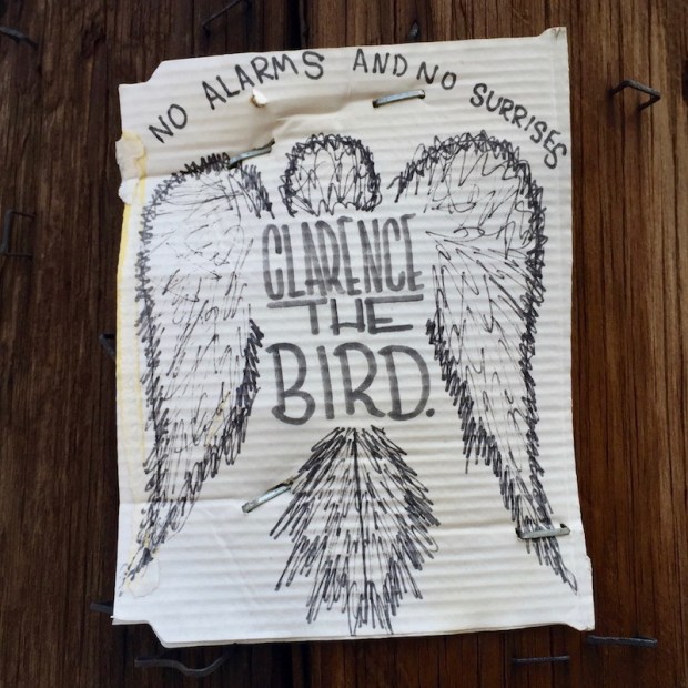 Clarence the Bird original artwork stapled to telephone pole, Pittsburgh, PA