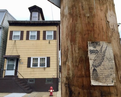 Clarence the Bird artwork stapled to telephone pole, Pittsburgh, PA