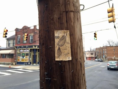 Clarence the Bird artwork stapled to telephone pole, Pittsburgh, PA