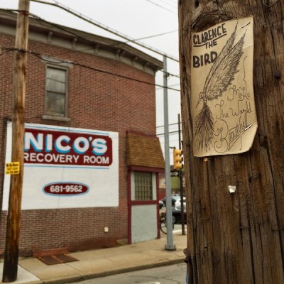 Clarence the Bird artwork stapled to telephone pole, Pittsburgh, PA