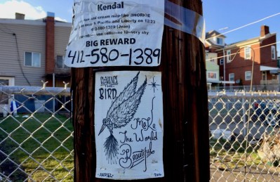 Clarence the Bird drawing stapled to telephone pole, Pittsburgh, PA