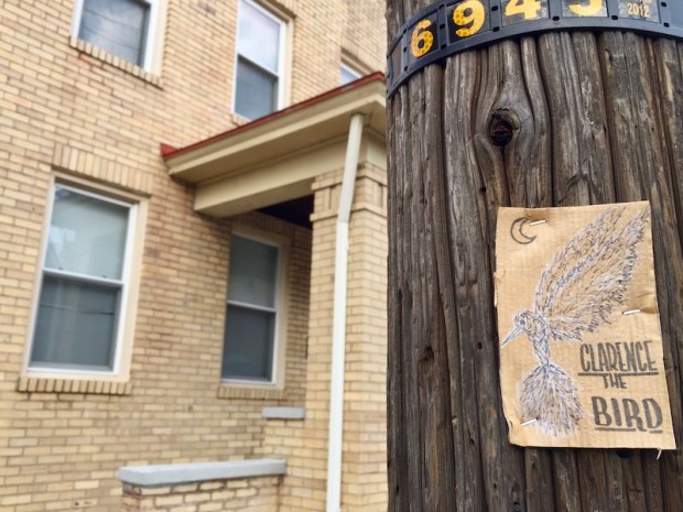 "Clarence the Bird" hand-drawn artwork stapled to telephone pole, Pittsburgh, PA