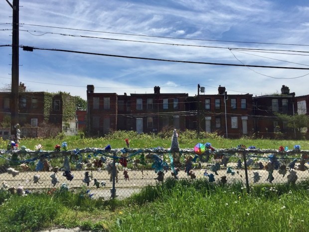 chain link fence decorated with stuffed animals, Pittsburgh, PA