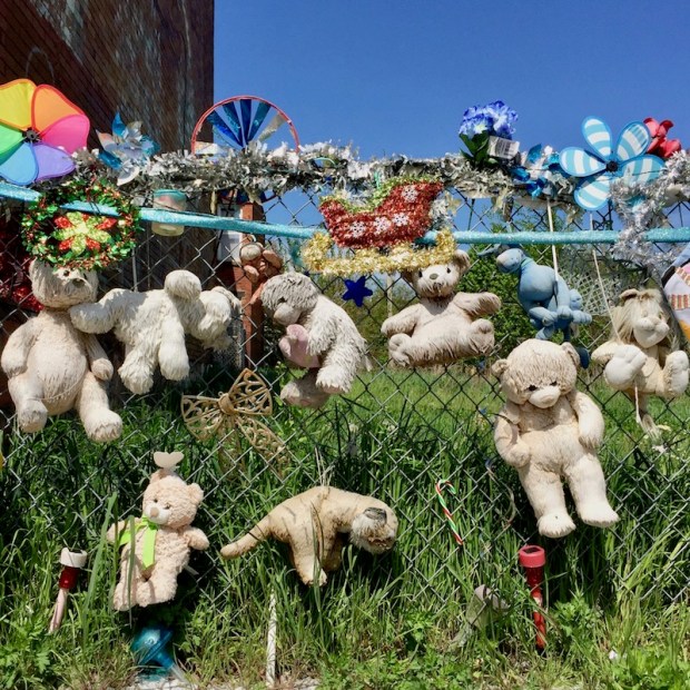 chain link fence decorated with stuffed animals, Pittsburgh, PA