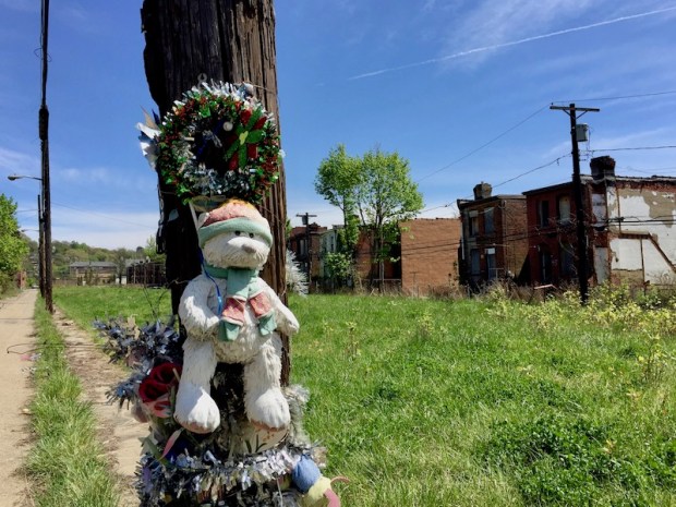 telephone pole decorated with stuffed animals and Christmas garland, Pittsburgh, PA