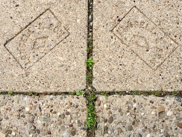 pair of sidewalk stamps by Langell & Son, Millvale, PA