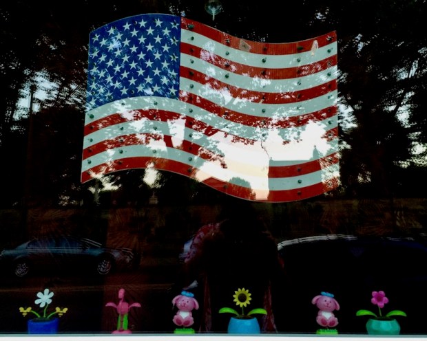 plastic light-up flag in window, Pittsburgh, PA