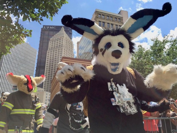 fursuit costume of bear with long rabbit ears, Anthrocon 2017 Fursuit Parade, Pittsburgh, PA