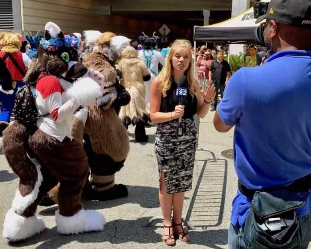 KDKA News photographer and reporter covering Anthrocon 2017 Fursuit Parade, Pittsburgh, PA