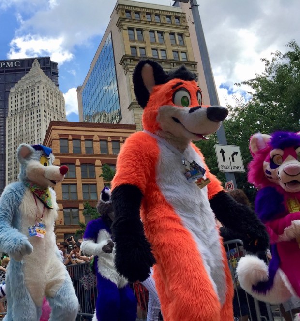 fursuits various color dogs, Anthrocon 2017 Fursuit Parade, Pittsburgh, PA