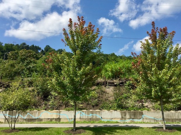 blue line painted on jersey barrier retaining wall, Millvale, PA